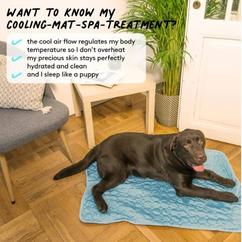 بساط تبريد الحيوانات الأليفة ا - مراجعة Cooling Blanket Hot Sleepers وسعره